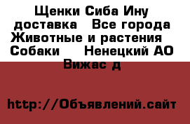 Щенки Сиба Ину доставка - Все города Животные и растения » Собаки   . Ненецкий АО,Вижас д.